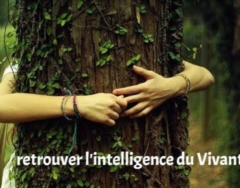 retrouver l'intelligence du vivant