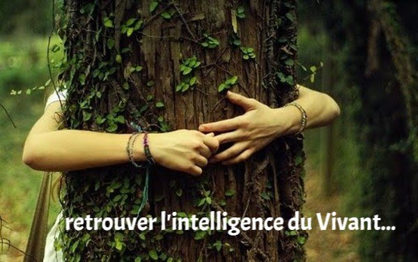Le recouvrement d'âme 5 - ACT