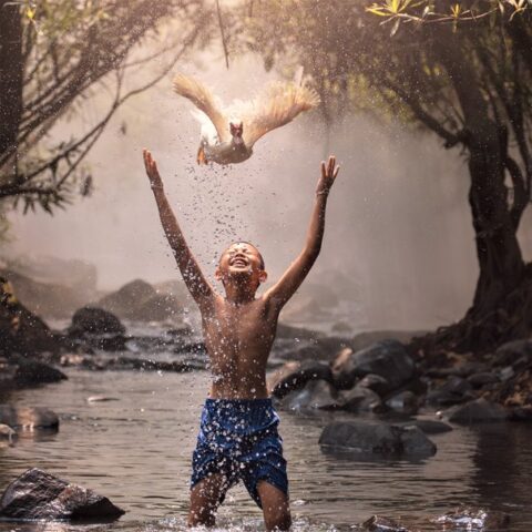 Le recouvrement d'&acirc;me - ACT