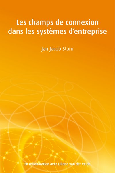 Les champs de connexion dans le système entreprise
