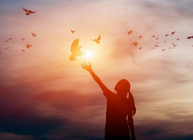 recouvrement d'ame et des parts oubliées