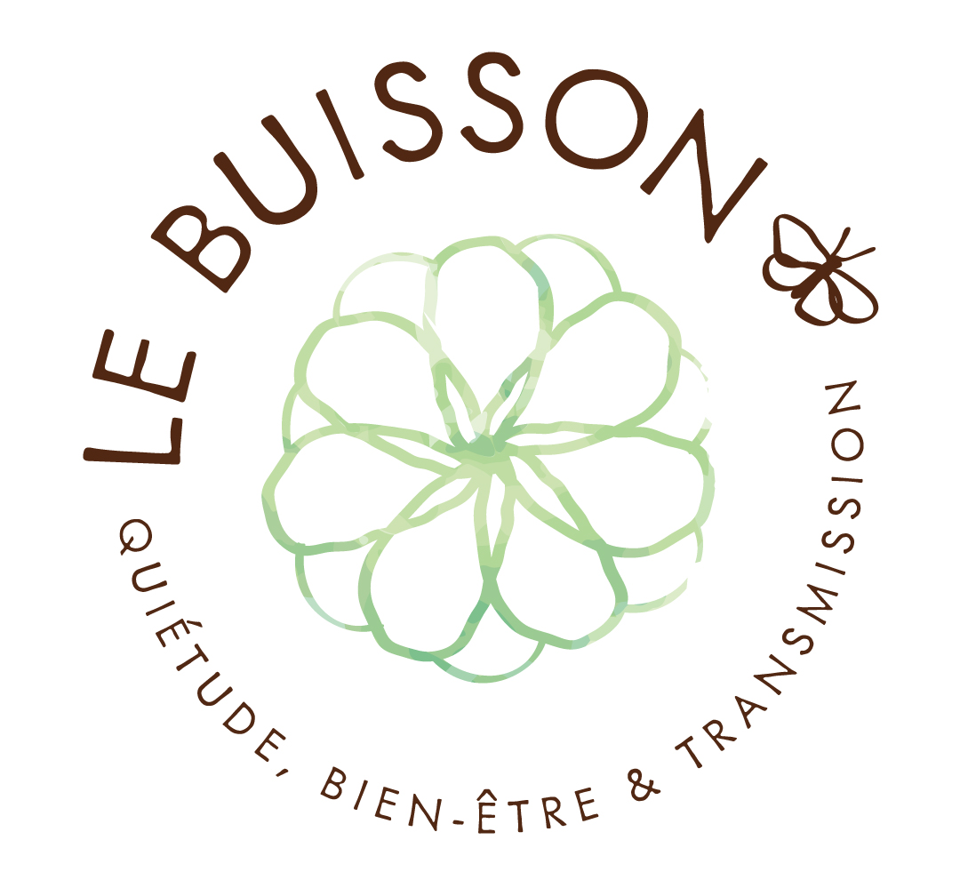 logo lebuisson